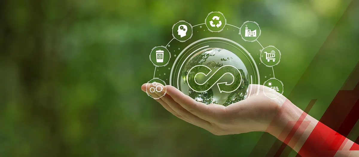 Circular Economy: Top 10 Companies Committed to a Zero-Waste Future